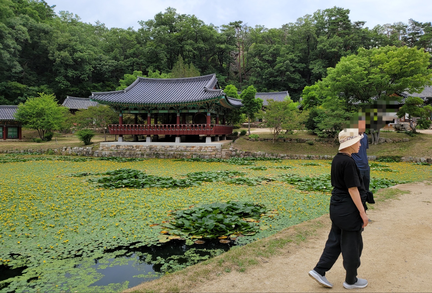 1948697120_KsadNn65_8d935719f0f0a95c0911a38b10a37e652a6dda0b.jpg 이미지크게보기