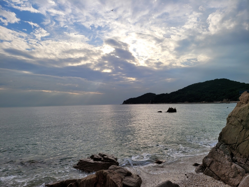 1948697120_Vqn6TXie_686f5d1b916d954b1a45b3329ad6b7ff7447529b.jpg 이미지크게보기