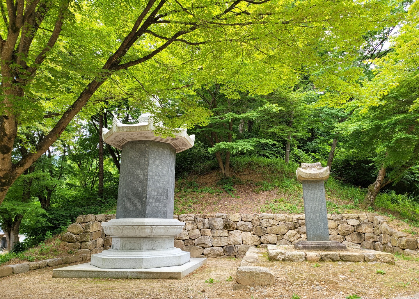 1948697120_jcugHRZ5_eee1d27e508cddaff2e0e2800adc1b9206834846.jpg 이미지크게보기